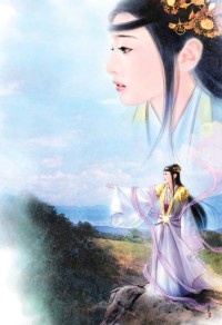 火影之次元卡牌系统