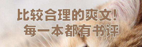 比较合理的爽文！每一本都有书评